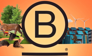 Becoming a B-corp business