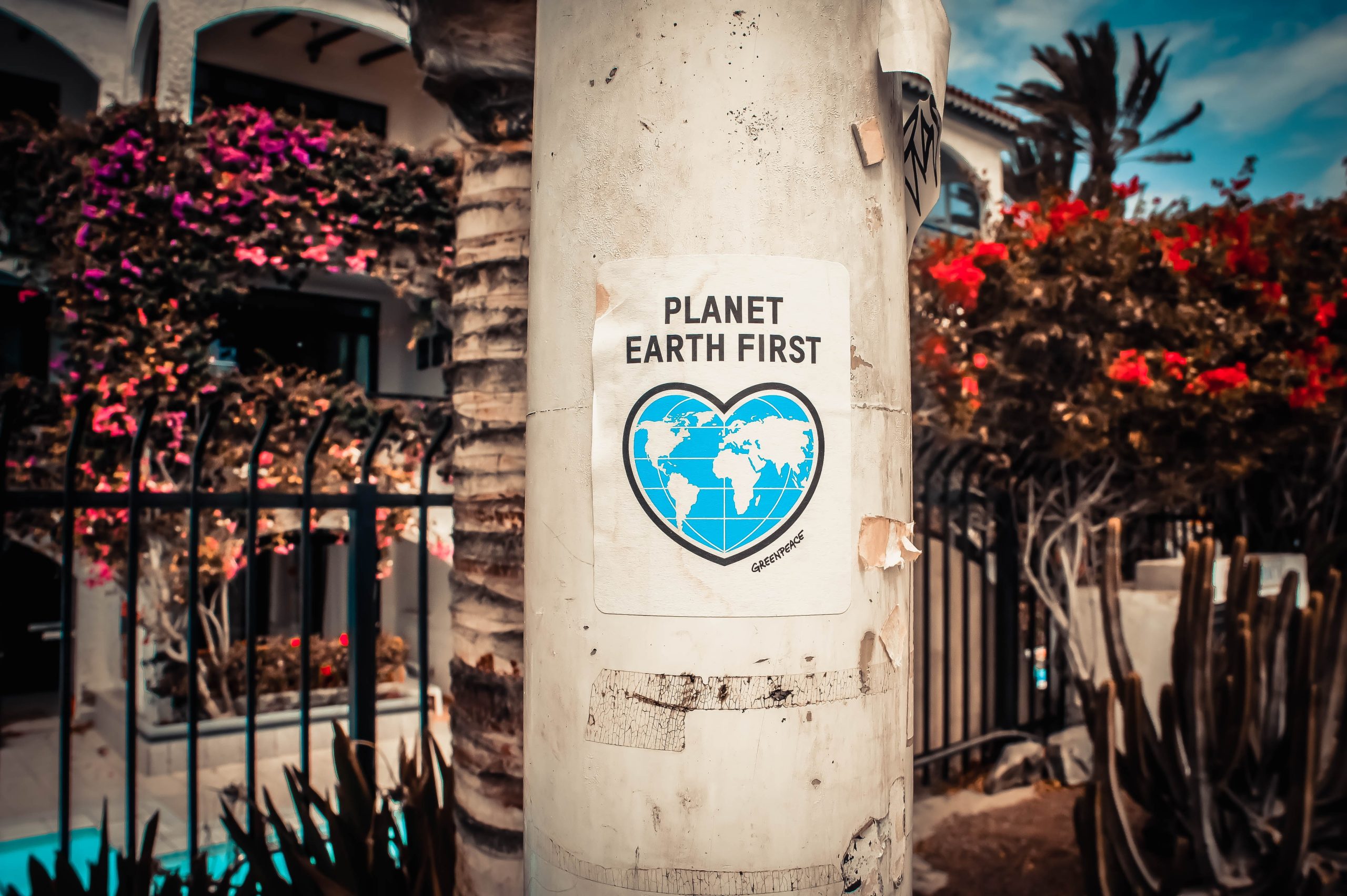 A pillar with a poster satying 'planet earth first' - a reminder of how important SDR regulation is